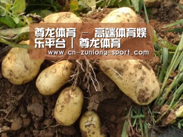 种植基地六