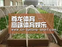 环境展示五