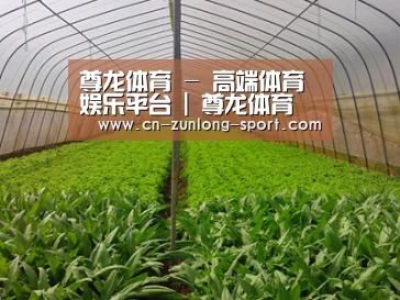 种植基地四