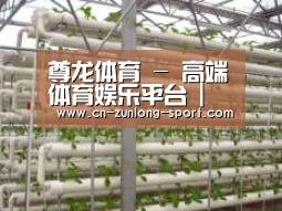 环境展示六